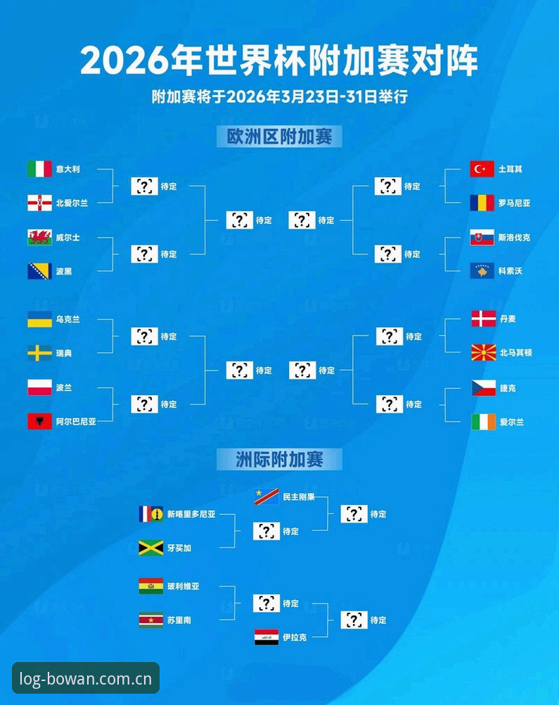 世界杯观赛签证难题实用应对指南——从博万体育官网看赛事出行必备知识