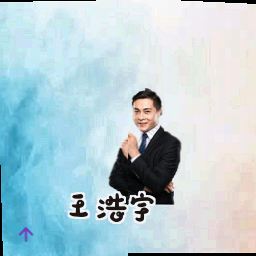 王浩宇
